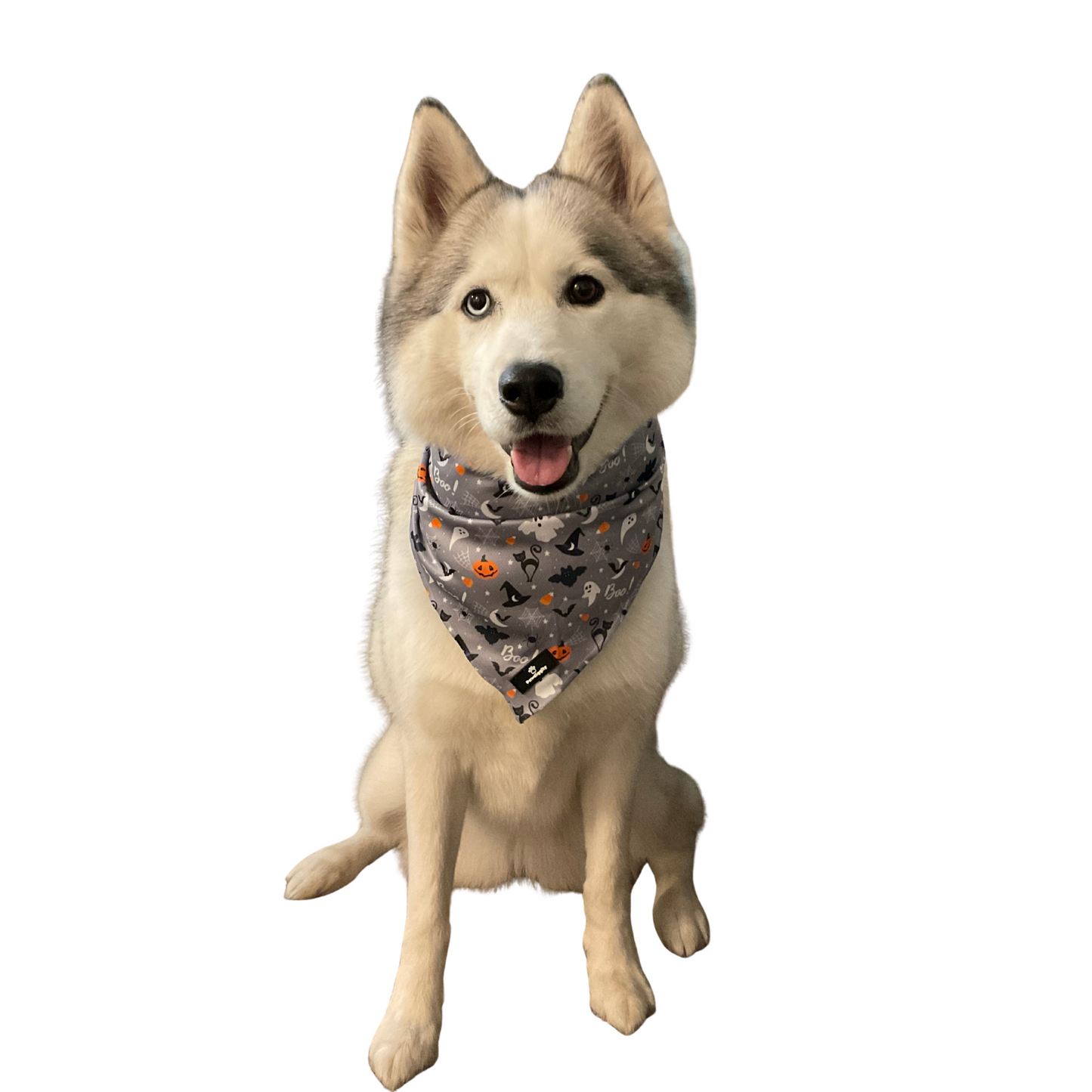 PAW-lloween Bandana