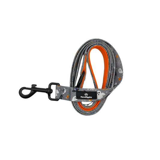 PAW-lloween Leash