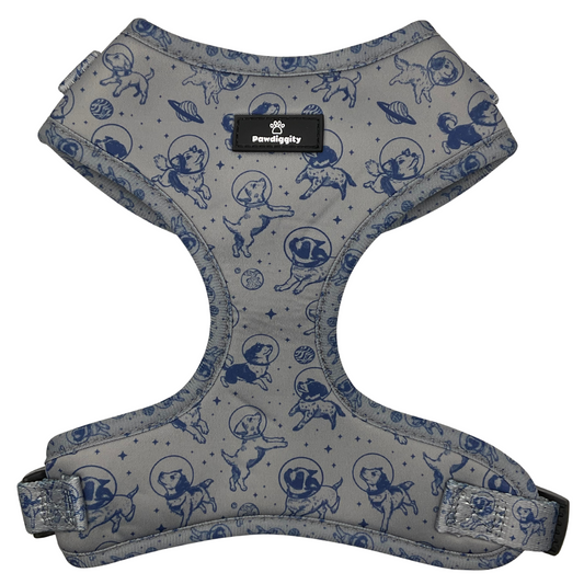 Space Dog Collection (6pc Set)