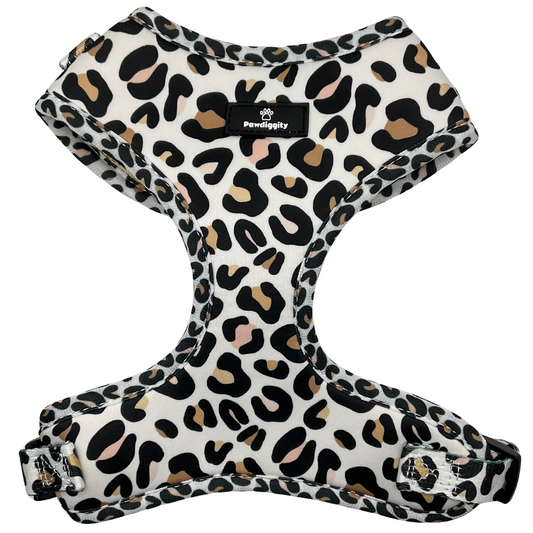 Leopard Collection (6pc Set)