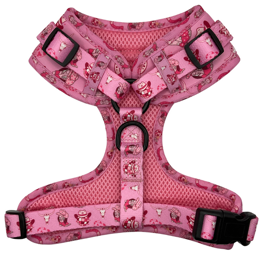 Cowgirl Harness