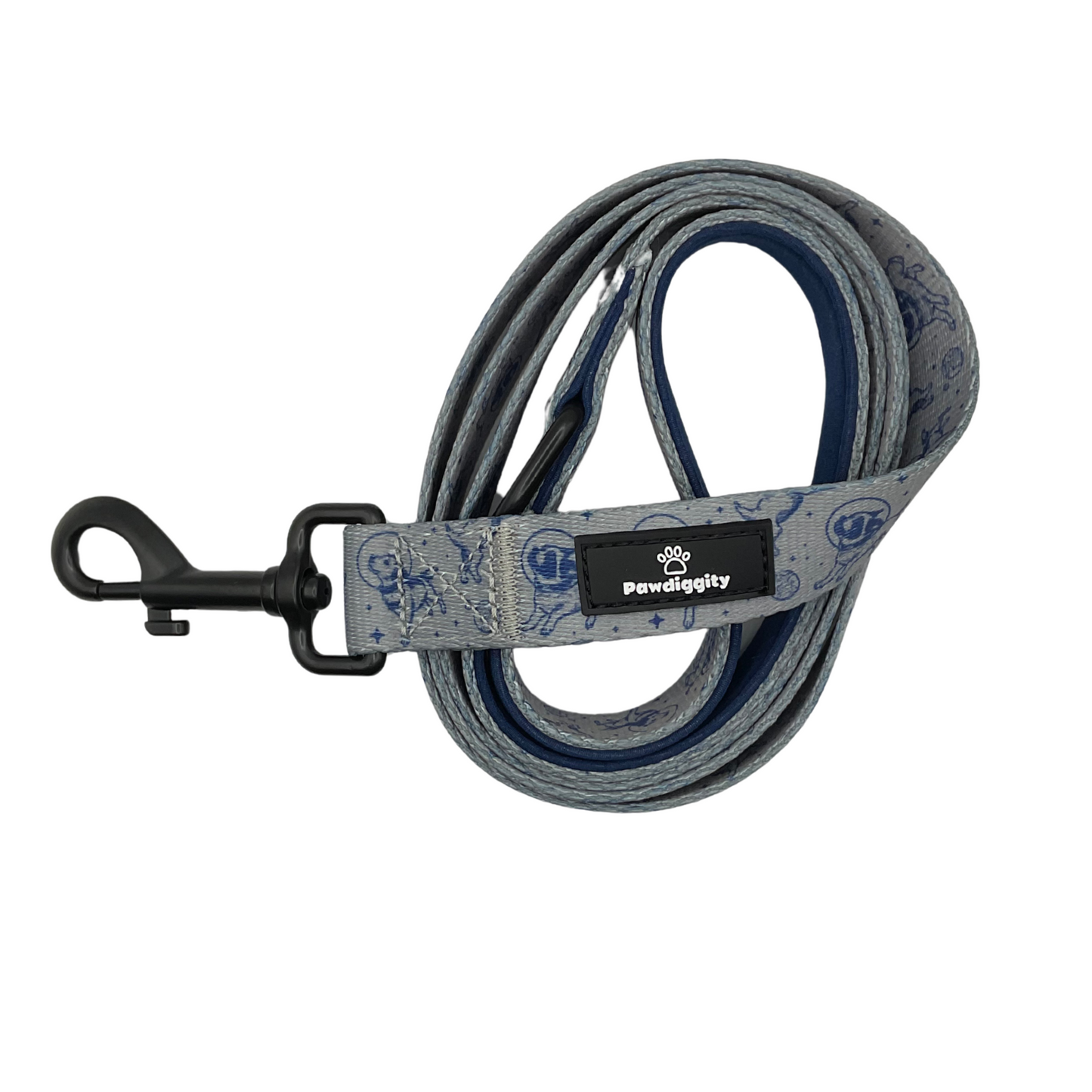 Space Dog Leash