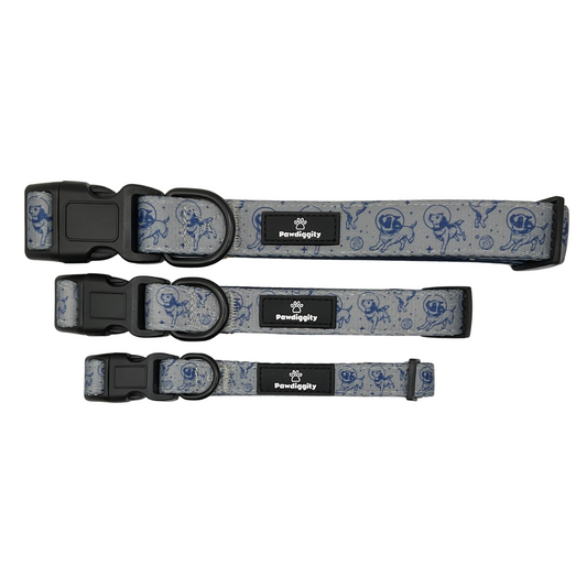 Space Dog Collar