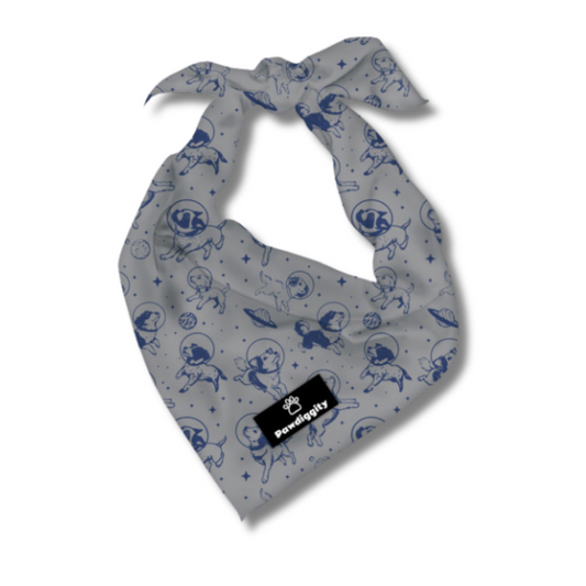 Space Dog Bandana