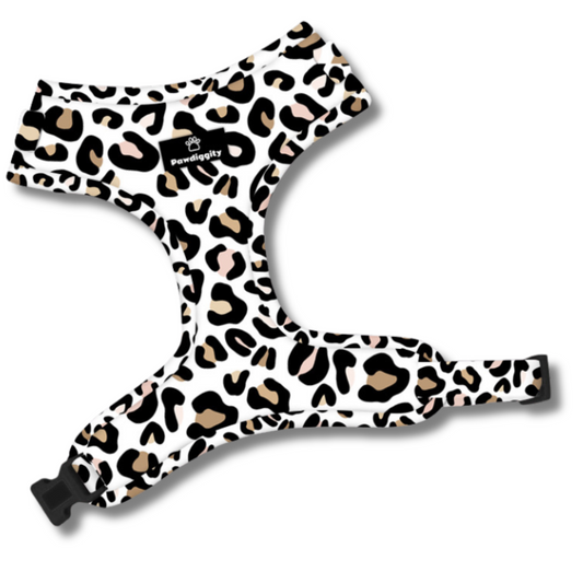 Leopard Collection (6pc Set)