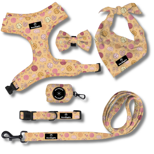 Pan Dulce Collection (6pc Set)