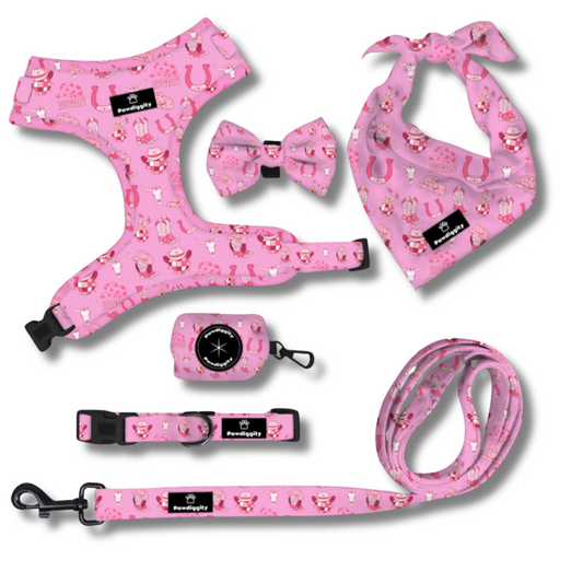 Cowgirl Collection (6pc Set)