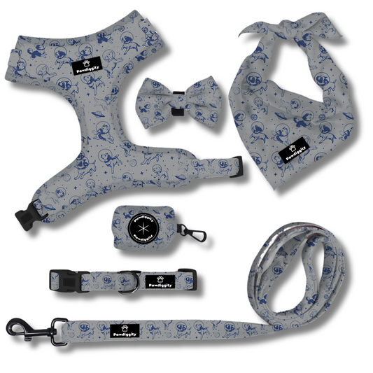 Space Dog Collection (6pc Set)
