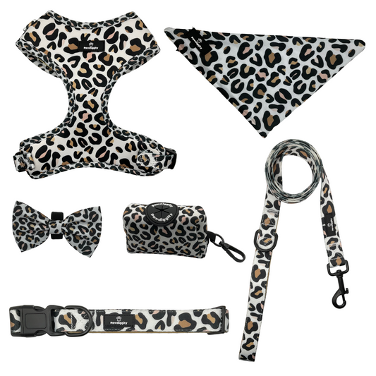 Leopard Collection (6pc Set)