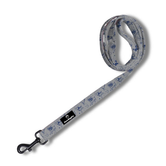 Space Dog Leash