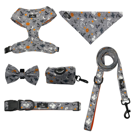 PAW-lloween (6pc Set)