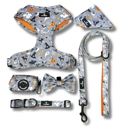 Pawlloween Collection (6pc Set)