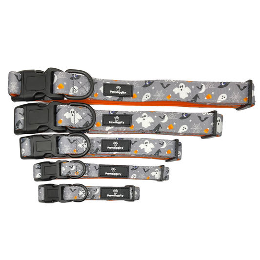 PAW-lloween Collar