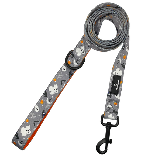 PAW-lloween Leash