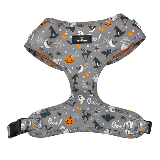 PAW-lloween (6pc Set)