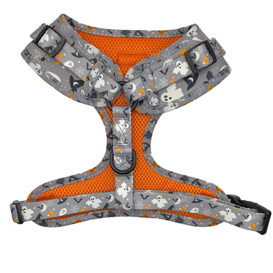 PAW-LLOWEEN HARNESS