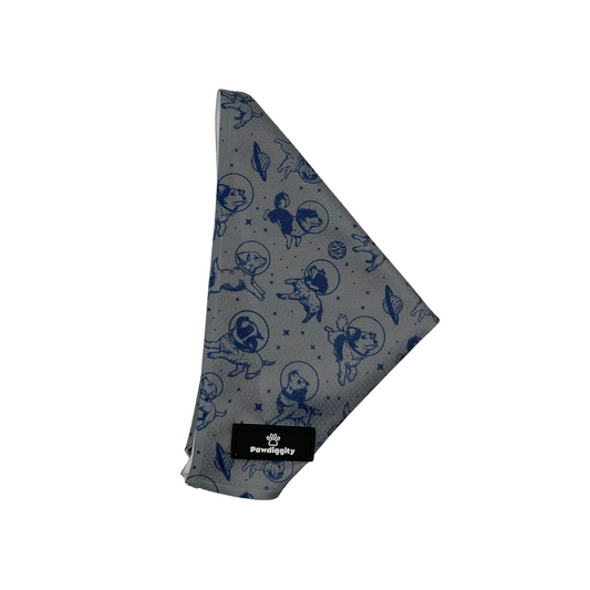 Space Dog Bandana