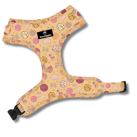 Pan Dulce Collection (6pc Set)