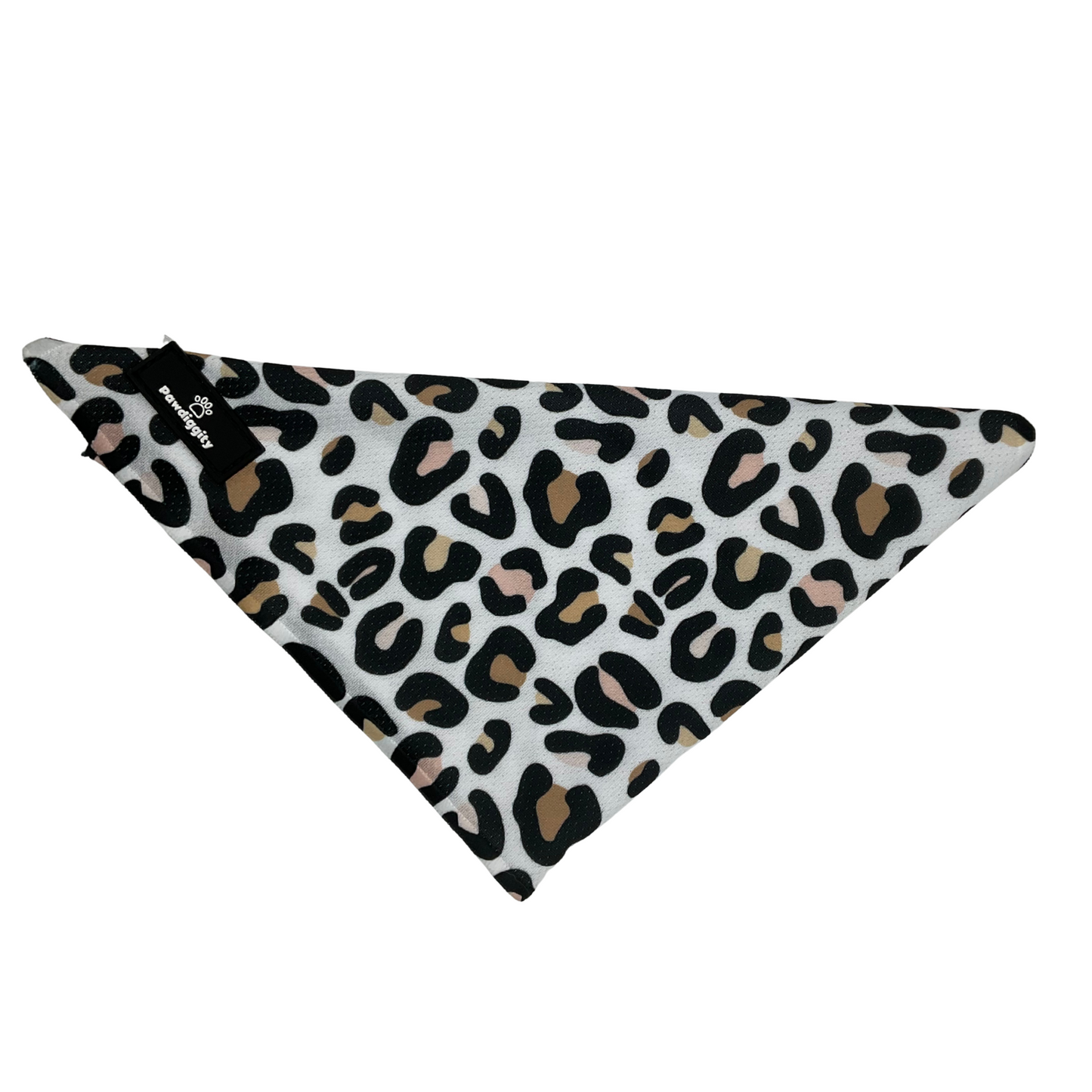 Leopard Collection (6pc Set)