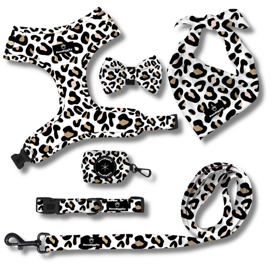 Leopard Collection (6pc Set)