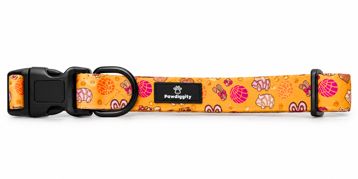 Pan Dulce Collar