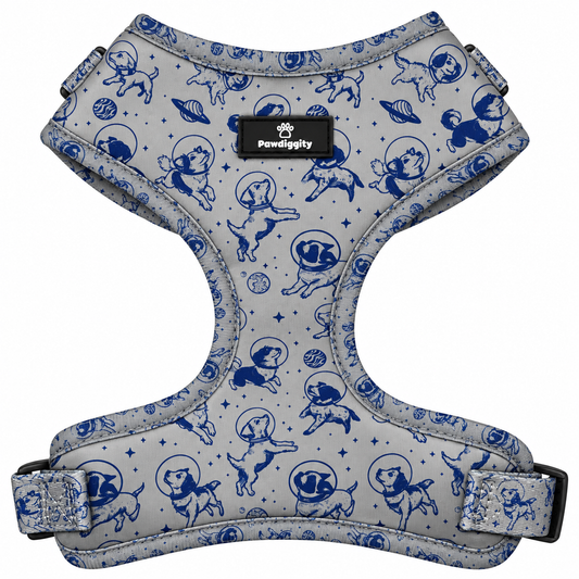Space Dog Harness