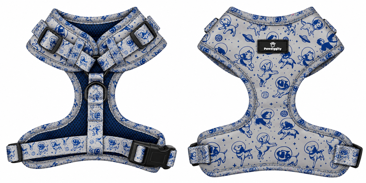 Space Dog Harness