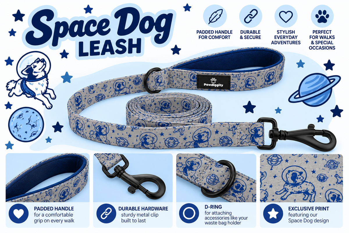 Space Dog Leash