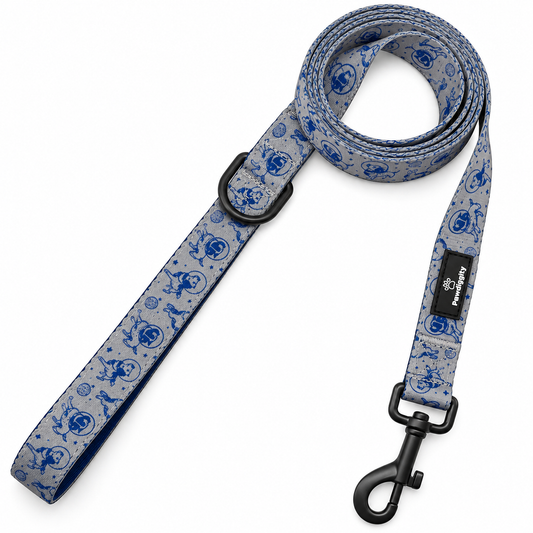 Space Dog Leash