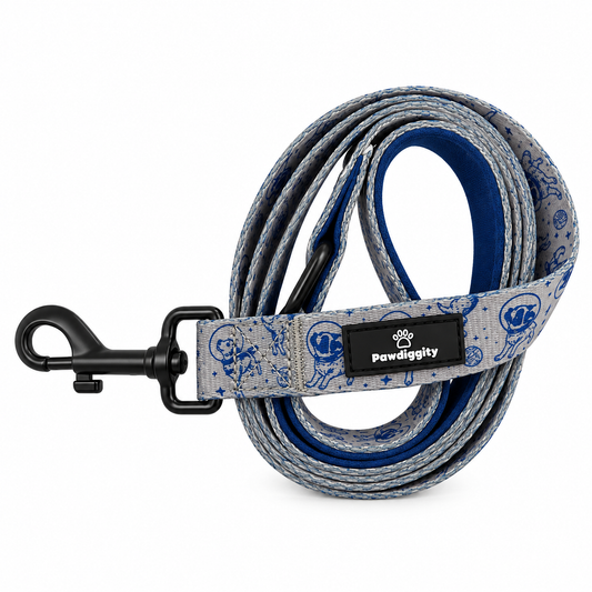 Space Dog Leash