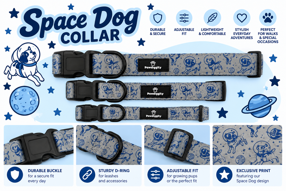 Space Dog Collar