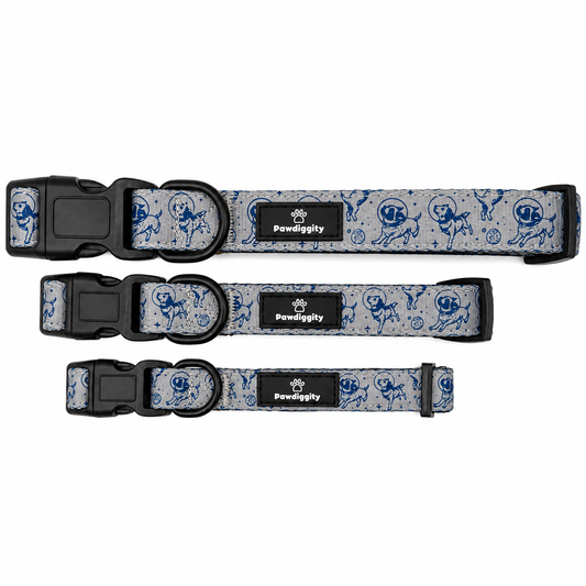 Space Dog Collar