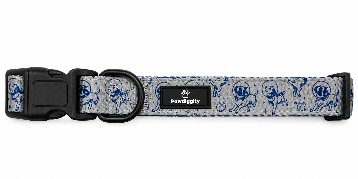 Space Dog Collar
