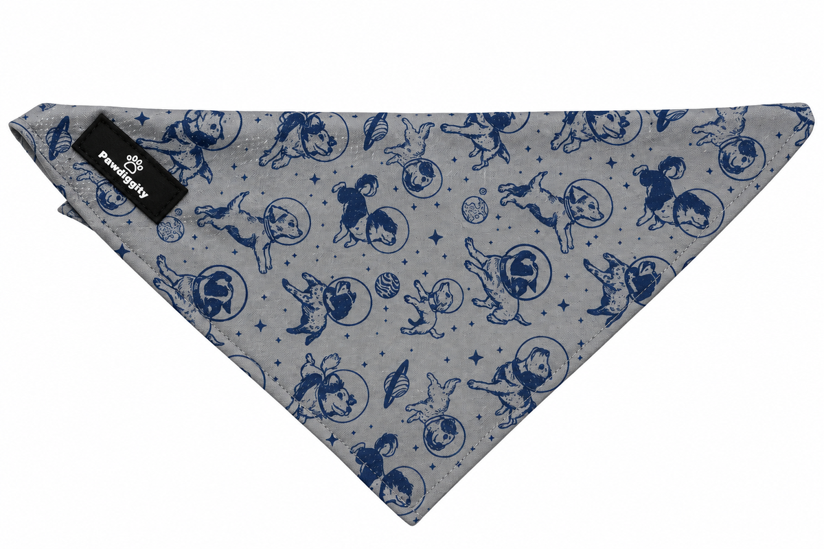 Space Dog Bandana