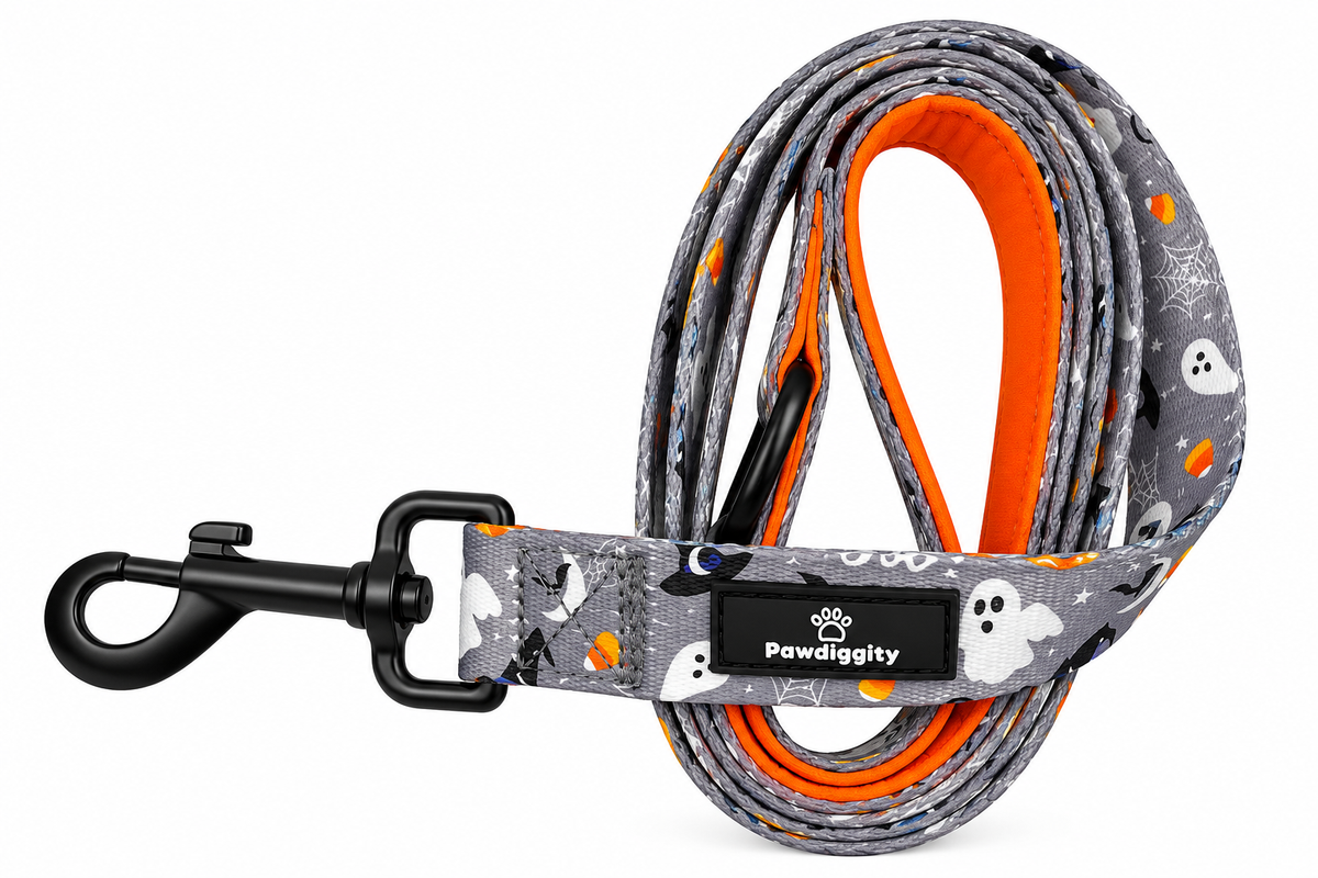PAW-lloween Leash