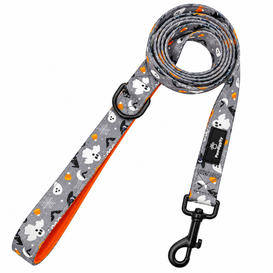PAW-lloween Leash